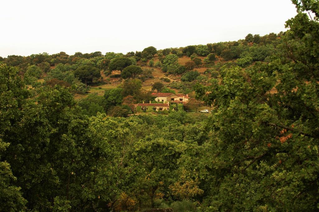 Casa Rural El Cabezo San Martín de Trevejo Exteriör bild