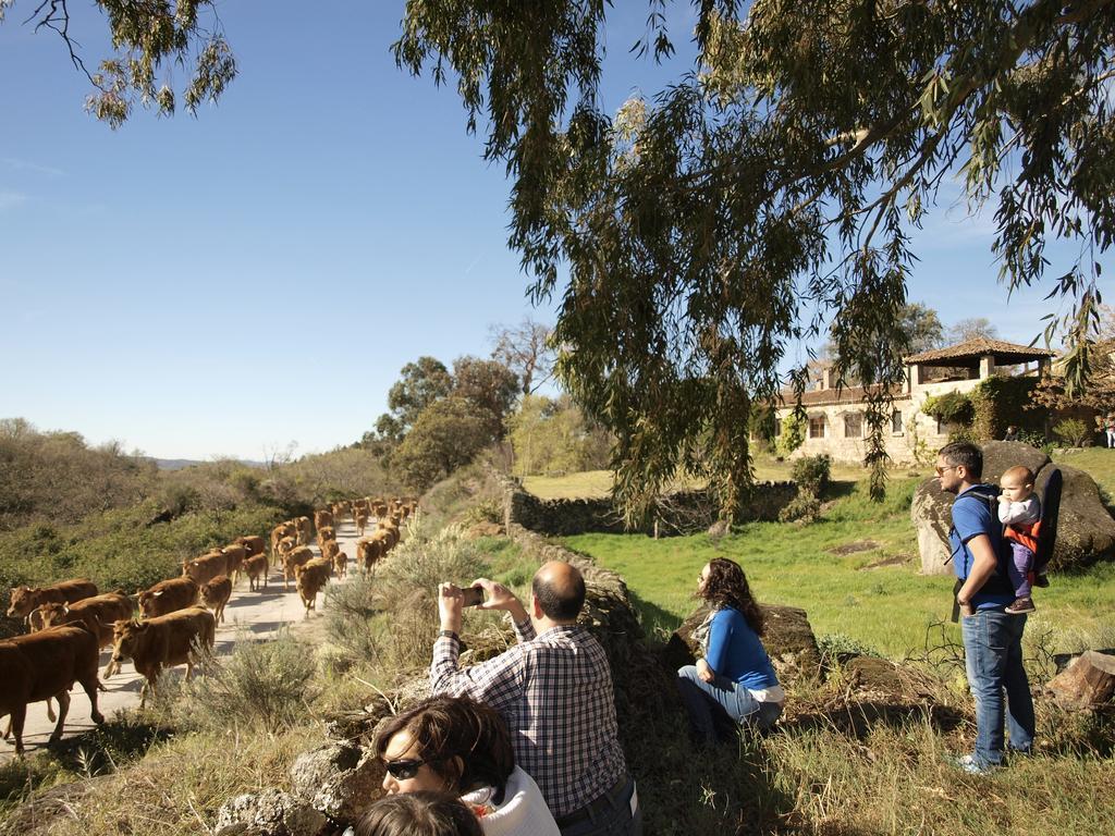 Casa Rural El Cabezo San Martín de Trevejo Exteriör bild